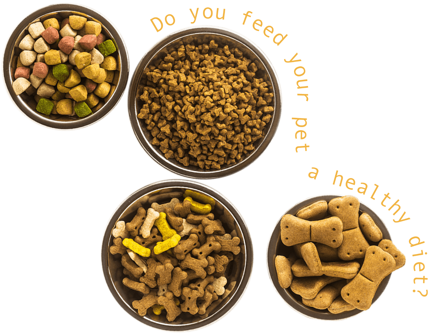 Do you feed your pet a healthy diet?